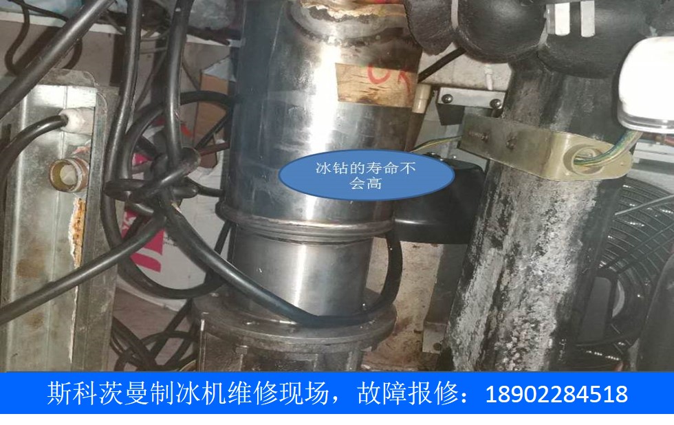斯科茨曼-6.jpg 斯科茨曼-6.jpg